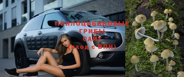 стаф Наволоки