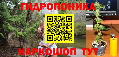 индика Бузулук