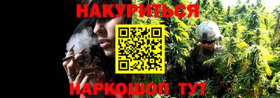 PSILOCYBIN Будённовск