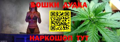 PSILOCYBIN Будённовск