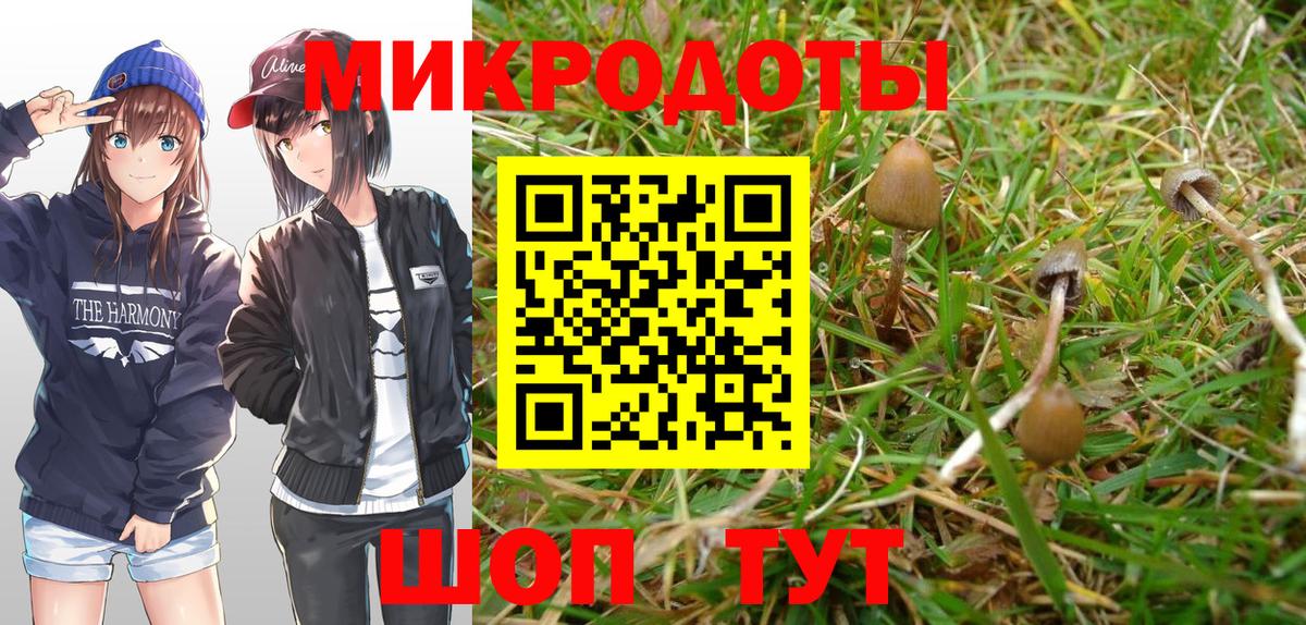 Псилоцибиновые грибы прущие грибы  Добрянка 