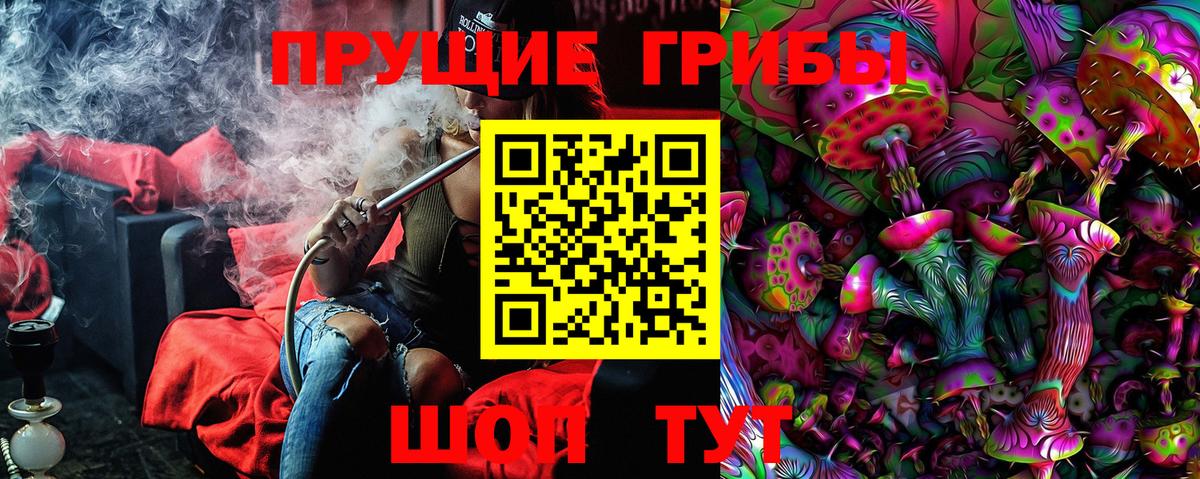 Добрянка  Галлюциногенные грибы Psilocybine cubensis  Вход с VPN 